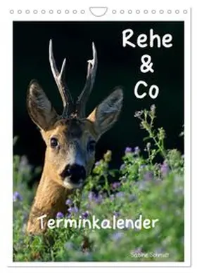 CALVENDO / Schmidt |  Rehe & Co / Planer (Wandkalender 2027 DIN A4 hoch), CALVENDO Monatskalender | Sonstiges |  Sack Fachmedien