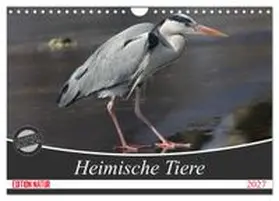 CALVENDO / SchnelleWelten |  Heimische Tiere (Wandkalender 2027 DIN A4 quer), CALVENDO Monatskalender | Sonstiges |  Sack Fachmedien