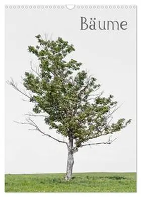 CALVENDO / von Felbert |  Bäume (Wandkalender 2027 DIN A3 hoch), CALVENDO Monatskalender | Sonstiges |  Sack Fachmedien