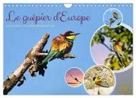 CALVENDO / Löwer |  Le guêpier d'Europe (Calendrier mural 2027 DIN A4 vertical), CALVENDO calendrier mensuel | Sonstiges |  Sack Fachmedien