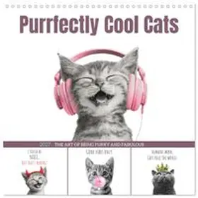 CALVENDO / Viola |  Purrfectly Cool Cats (Wall Calendar 2027 12 × 12 Inch) CALVENDO 12 Month Wall Calendar | Sonstiges |  Sack Fachmedien