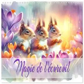 CALVENDO / Djeric |  Magie de l'écureuil (Calendrier mural carré 2027 30x30 cm) Calendrier double avec une page pour vos prises de notes | Sonstiges |  Sack Fachmedien