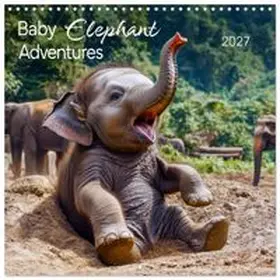 CALVENDO / Roder |  Baby Elephant Adventures (Wall Calendar 2027 12 × 12 Inch) CALVENDO 12 Month Wall Calendar | Sonstiges |  Sack Fachmedien