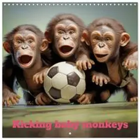 CALVENDO / Brunner-Klaus |  Kicking baby monkeys (Wall Calendar 2027 12 × 12 Inch) CALVENDO 12 Month Wall Calendar | Sonstiges |  Sack Fachmedien