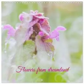 CALVENDO / Stenner |  Flowers from dreamland (Wall Calendar 2027 12 × 12 Inch) CALVENDO 12 Month Wall Calendar | Sonstiges |  Sack Fachmedien
