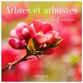 CALVENDO / Kruse |  Arbres et arbustes la floraison (Calendrier mural carré 2027 30x30 cm) Calendrier double avec une page pour vos prises de notes | Sonstiges |  Sack Fachmedien