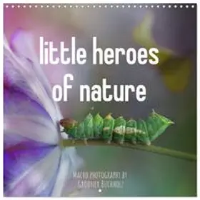 CALVENDO / Grodner-Buchholz |  little heroes of nature (Wall Calendar 2027 12 × 12 Inch) CALVENDO 12 Month Wall Calendar | Sonstiges |  Sack Fachmedien
