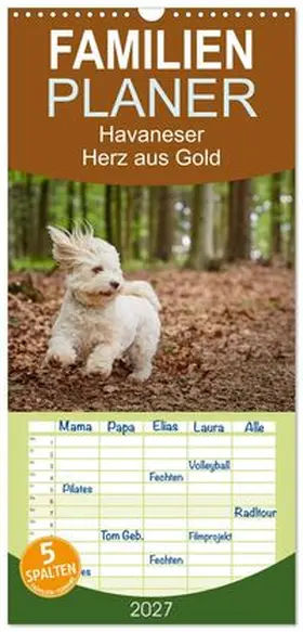 CALVENDO / Mayer |  Familienplaner 2027 - Havaneser - Herz aus Gold mit 5 Spalten (Wandkalender, 21 x 45 cm) CALVENDO | Sonstiges |  Sack Fachmedien