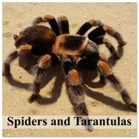 CALVENDO / Stanzer |  Spiders and Tarantulas (Wall Calendar 2027 12 × 12 Inch) CALVENDO 12 Month Wall Calendar | Sonstiges |  Sack Fachmedien