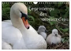 CALVENDO / Casaert |  Le printemps des oiseaux d'eau (Calendrier mural 2027 DIN A4 vertical), CALVENDO calendrier mensuel | Sonstiges |  Sack Fachmedien