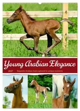 CALVENDO / Waurick |  Young Arabian Elegance (Wall Calendar 2027 DIN A2 portrait), CALVENDO 12 Month Wall Calendar | Sonstiges |  Sack Fachmedien