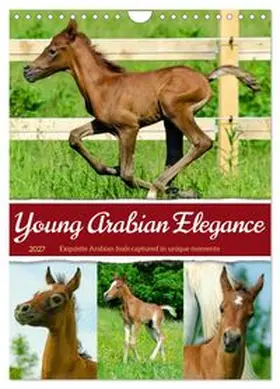 CALVENDO / Waurick |  Young Arabian Elegance (Wall Calendar 2027 DIN A4 portrait), CALVENDO 12 Month Wall Calendar | Sonstiges |  Sack Fachmedien