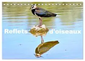 CALVENDO / Casaert |  Reflets d'oiseaux (Calendrier de bureau 2027 DIN A5 vertical), CALVENDO calendrier mensuel | Sonstiges |  Sack Fachmedien