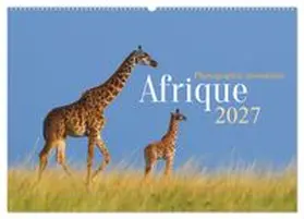 CALVENDO / Krutz |  Afrique - Photographie animalière (Calendrier mural 2027 DIN A2 vertical), CALVENDO calendrier mensuel | Sonstiges |  Sack Fachmedien