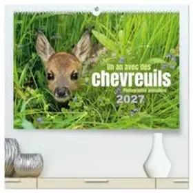 CALVENDO / Breuer |  Un an avec des chevreuils (Calendrier mural haut de gamme 2027 DIN A2 vertical), CALVENDO calendrier mensuel | Sonstiges |  Sack Fachmedien