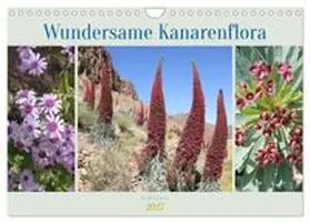 CALVENDO / Goetz |  Wundersame Kanarenflora (Wandkalender 2027 DIN A4 quer), CALVENDO Monatskalender | Sonstiges |  Sack Fachmedien