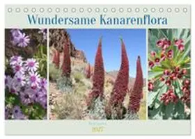 CALVENDO / Goetz |  Wundersame Kanarenflora (Tischkalender 2027 DIN A5 quer), CALVENDO Monatskalender | Sonstiges |  Sack Fachmedien