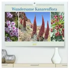 CALVENDO / Goetz |  Wundersame Kanarenflora (hochwertiger Premium Wandkalender 2027 DIN A2 quer), Kunstdruck in Hochglanz | Sonstiges |  Sack Fachmedien