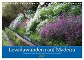CALVENDO / Goetz |  Levadawandern auf Madeira (Wandkalender 2027 DIN A4 quer), CALVENDO Monatskalender | Sonstiges |  Sack Fachmedien