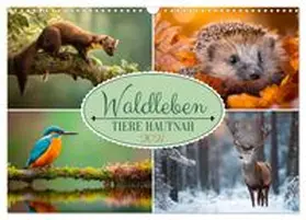 CALVENDO / Viola |  Waldleben - Tiere hautnah (Wandkalender 2027 DIN A3 quer), CALVENDO Monatskalender | Sonstiges |  Sack Fachmedien
