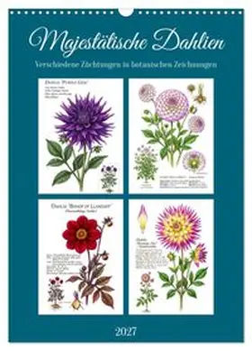 CALVENDO / Waurick |  Majestätische Dahlien (Wandkalender 2027 DIN A3 hoch), CALVENDO Monatskalender | Sonstiges |  Sack Fachmedien