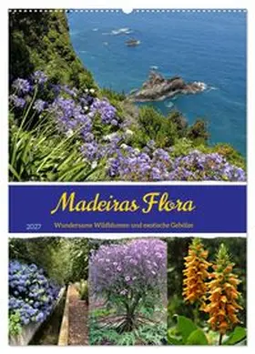 CALVENDO / Goetz |  Madeiras Flora. Wundersame Wildblumen und exotische Gehölze (Wandkalender 2027 DIN A2 hoch), CALVENDO Monatskalender | Sonstiges |  Sack Fachmedien