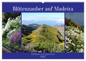 CALVENDO / Goetz |  Blütenzauber auf Madeira. Wildblumen und Ziergewächse (Wandkalender 2027 DIN A2 quer), CALVENDO Monatskalender | Sonstiges |  Sack Fachmedien