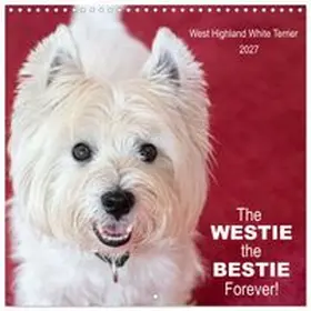 CALVENDO / Rohde |  The Westie - the bestie forever (Wall Calendar 2027 12 × 12 Inch) CALVENDO 12 Month Wall Calendar | Sonstiges |  Sack Fachmedien