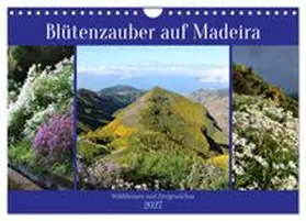 CALVENDO / Goetz |  Blütenzauber auf Madeira. Wildblumen und Ziergewächse (Wandkalender 2027 DIN A4 quer), CALVENDO Monatskalender | Sonstiges |  Sack Fachmedien