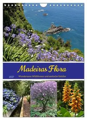 CALVENDO / Goetz |  Madeiras Flora. Wundersame Wildblumen und exotische Gehölze (Wandkalender 2027 DIN A4 hoch), CALVENDO Monatskalender | Sonstiges |  Sack Fachmedien