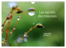 CALVENDO / Martzel Photography |  Les secrets des mousses (Calendrier mural 2027 DIN A4 vertical), CALVENDO calendrier mensuel | Sonstiges |  Sack Fachmedien