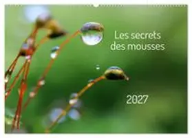 CALVENDO / Martzel Photography |  Les secrets des mousses (Calendrier mural 2027 DIN A2 vertical), CALVENDO calendrier mensuel | Sonstiges |  Sack Fachmedien