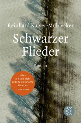 Kaiser-Mühlecker |  Schwarzer Flieder | Buch |  Sack Fachmedien