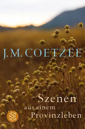 Coetzee |  Szenen aus einem Provinzleben | Buch |  Sack Fachmedien