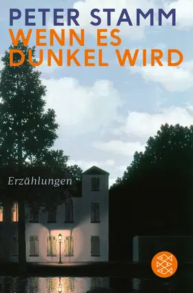 Stamm | Wenn es dunkel wird | Buch | 978-3-596-03125-2 | www.sack.de