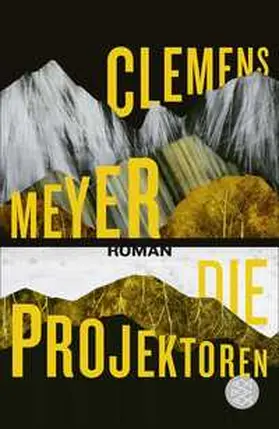 Meyer |  Die Projektoren | Buch |  Sack Fachmedien
