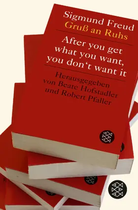 Pfaller / Hofstadler | After you get what you want, you don't want it | Buch | 978-3-596-03591-5 | www.sack.de