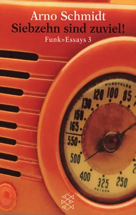 Schmidt |  Siebzehn sind zuviel! | Buch |  Sack Fachmedien