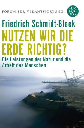 Schmidt-Bleek / Wiegandt | Nutzen wir die Erde richtig? | Buch | 978-3-596-17275-7 | sack.de