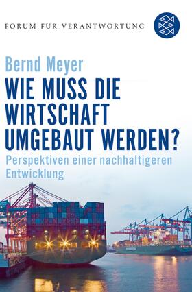 Meyer / Wiegandt |  Wie muss die Wirtschaft umgebaut werden? | Buch |  Sack Fachmedien
