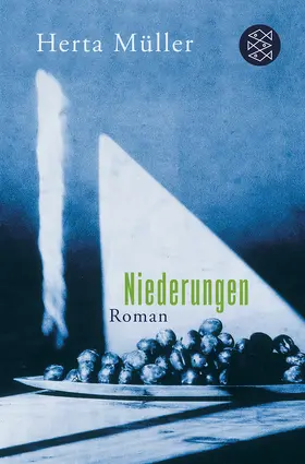 Müller |  Niederungen | Buch |  Sack Fachmedien