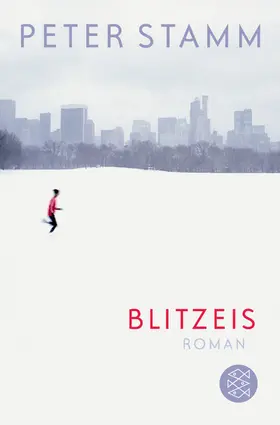Stamm | Blitzeis | Buch | 978-3-596-19255-7 | www.sack.de