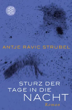 Strubel |  Sturz der Tage in die Nacht | Buch |  Sack Fachmedien