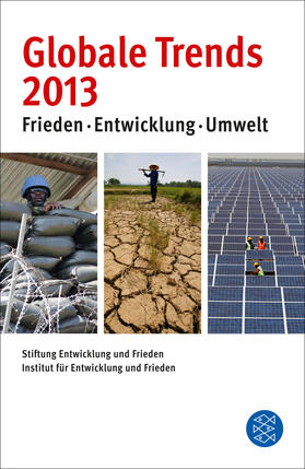 Debiel / Stiftung Entwicklung und Frieden / Hippler |  Globale Trends 2013 | Buch |  Sack Fachmedien