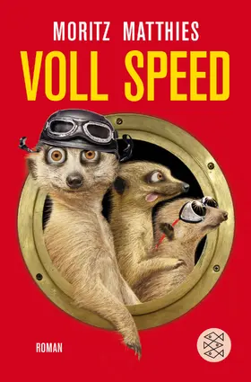 Matthies |  Voll Speed | Buch |  Sack Fachmedien