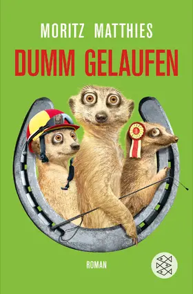 Matthies |  Dumm gelaufen | Buch |  Sack Fachmedien