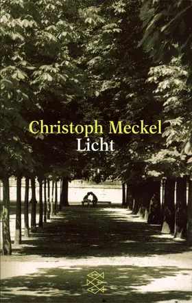 Meckel |  Licht | Buch |  Sack Fachmedien