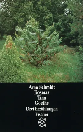Schmidt |  Kosmas Tina Goethe | Buch |  Sack Fachmedien
