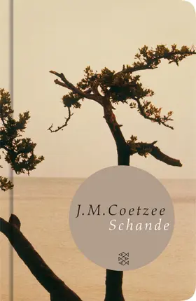 Coetzee |  Schande | Buch |  Sack Fachmedien
