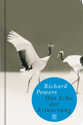 Powers |  Das Echo der Erinnerung | Buch |  Sack Fachmedien